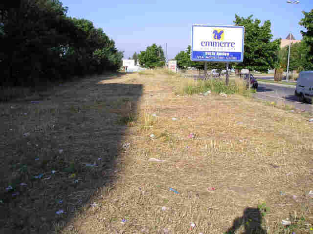Foto_12