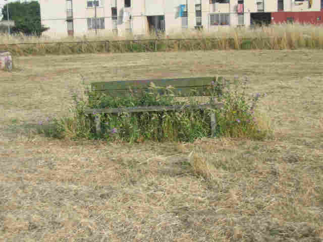 Foto_2