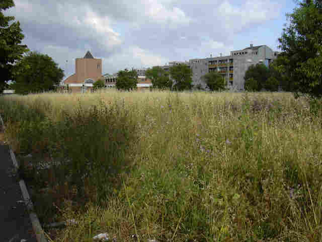 Foto_4