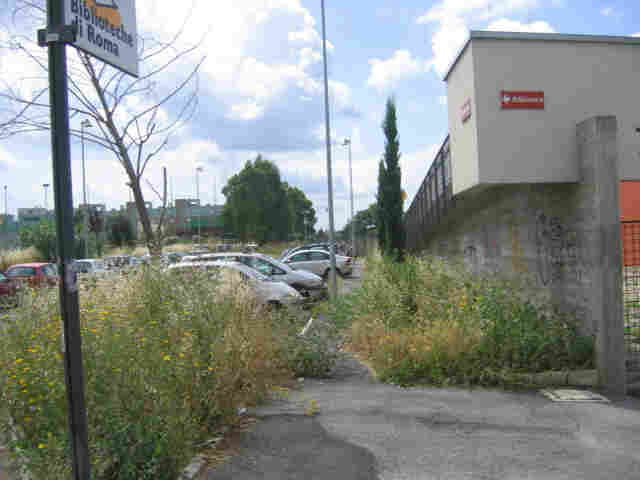 Foto_5