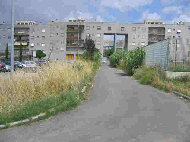 Foto_6