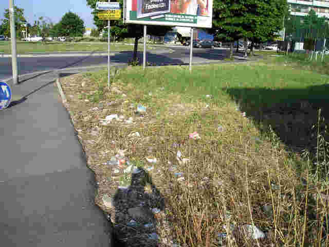 Foto_8