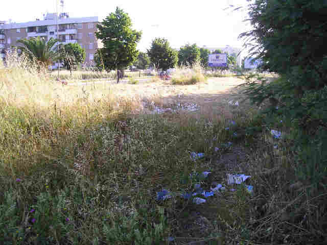 Foto_9