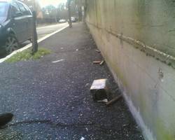 Foto_3