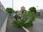 Foto_1