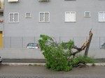 Foto_2