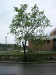 Foto_3